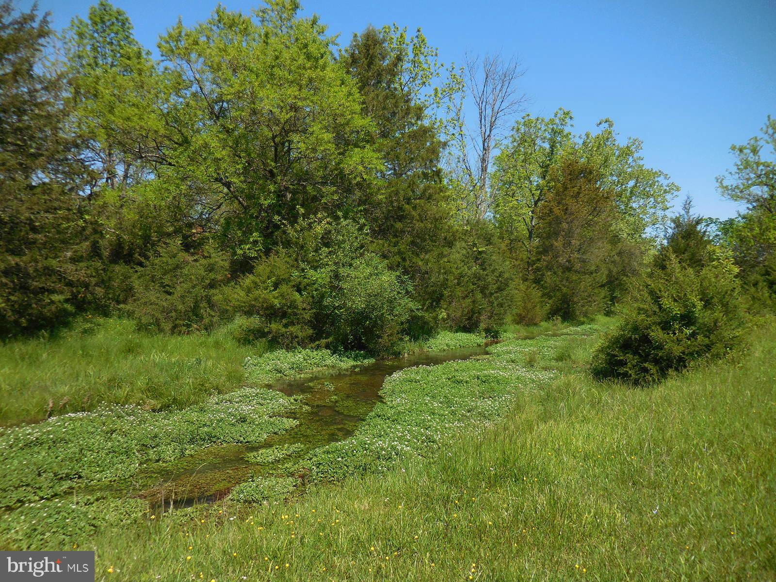 NONE AVAILABLE - Land