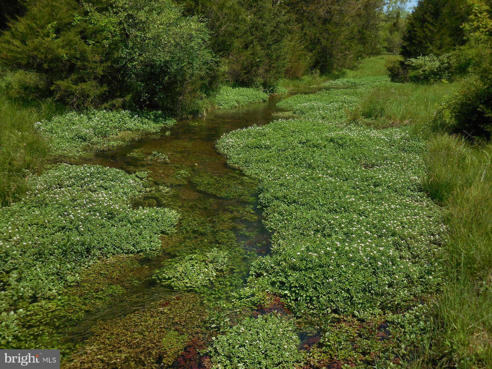 NONE AVAILABLE - Land