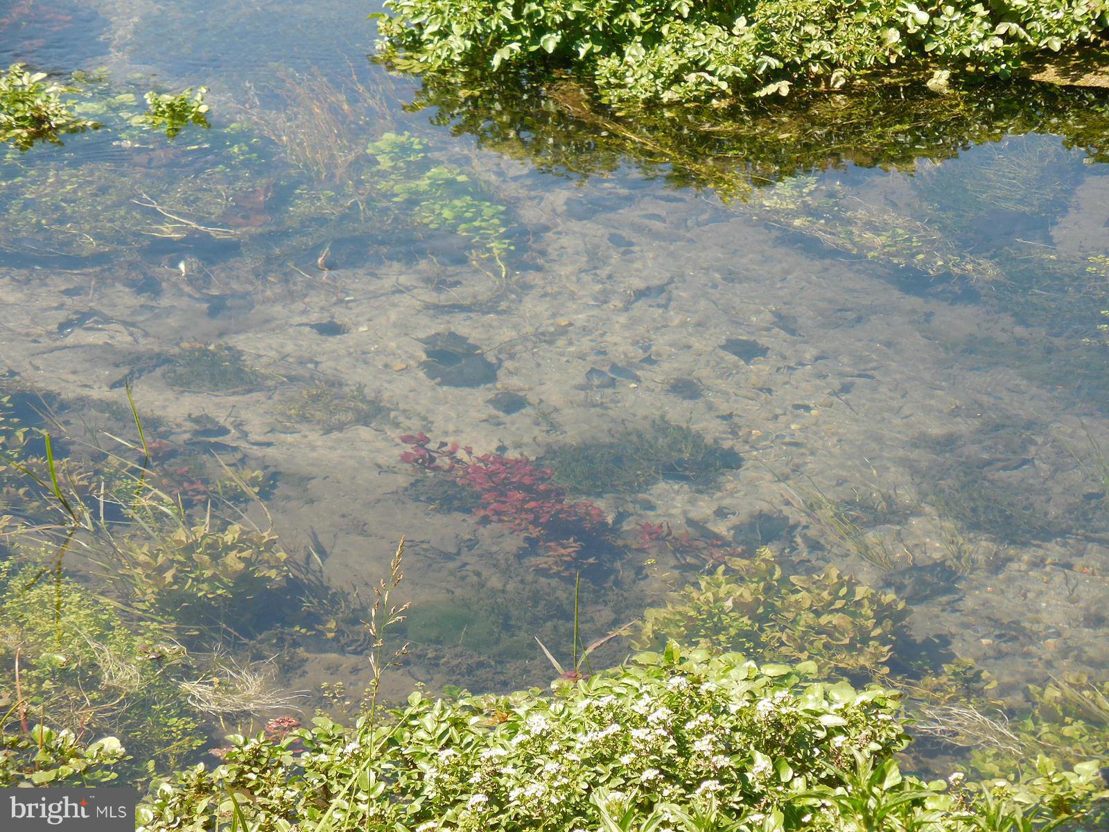 NONE AVAILABLE - Land