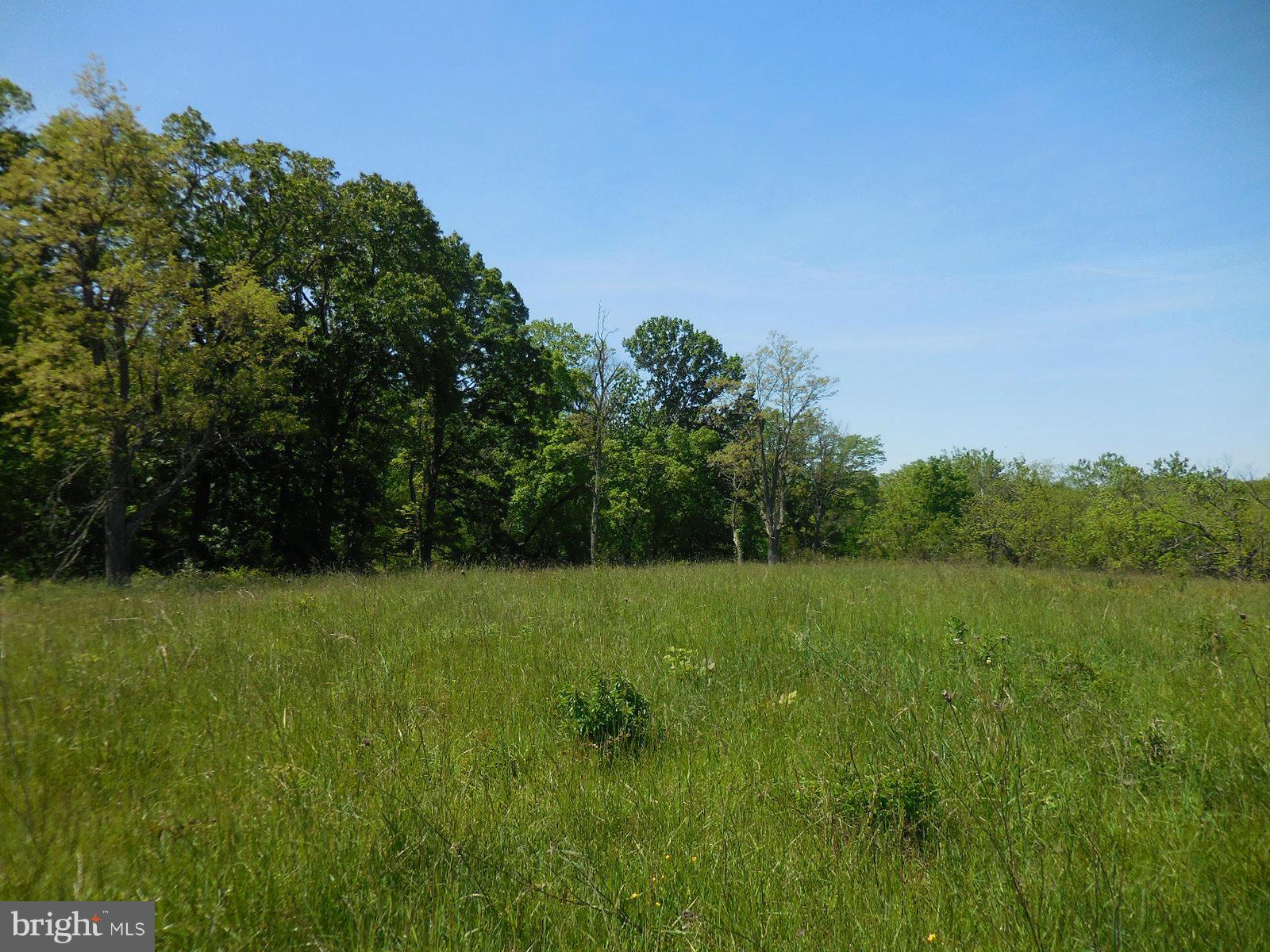 NONE AVAILABLE - Land