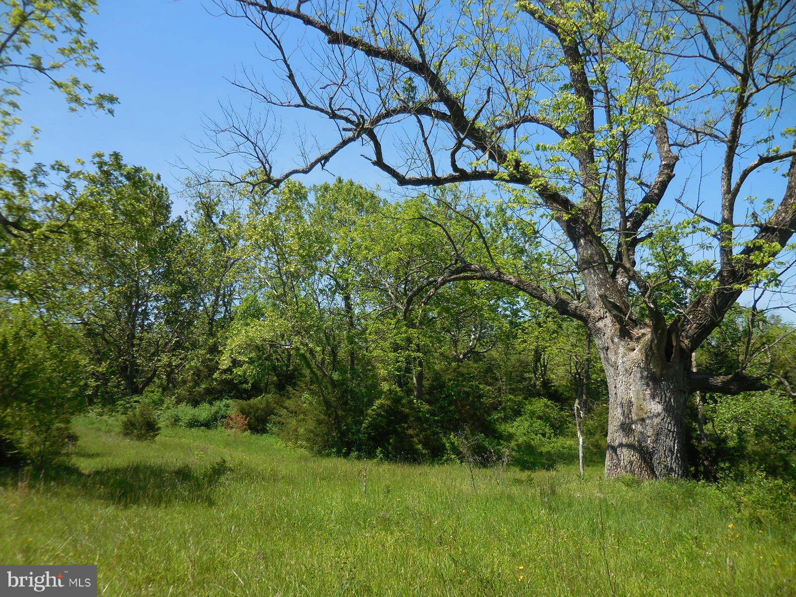 NONE AVAILABLE - Land