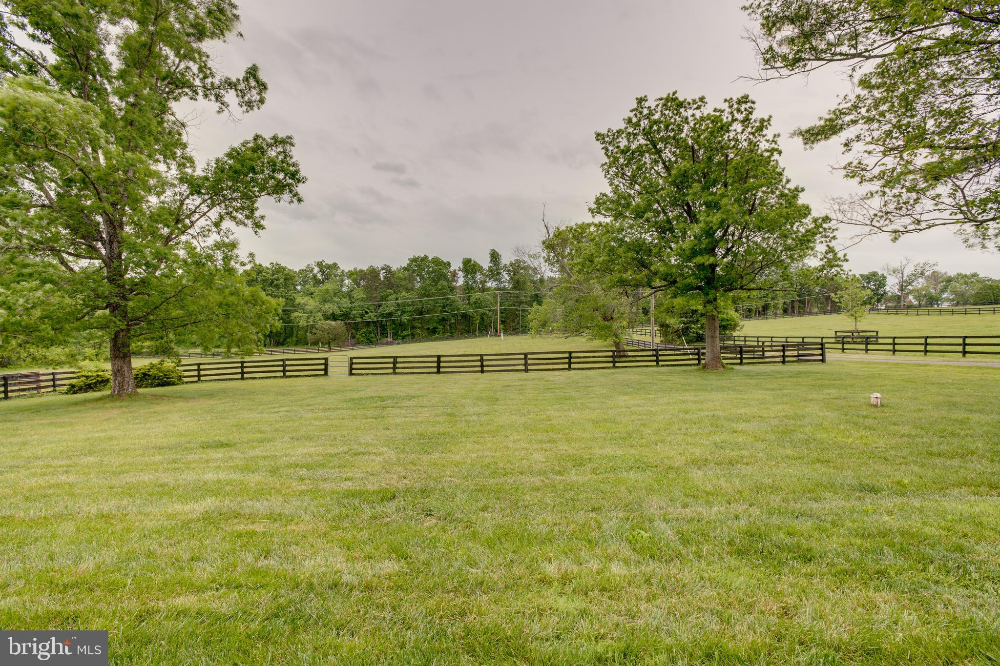 KETTLE RUN FOREST - Residential