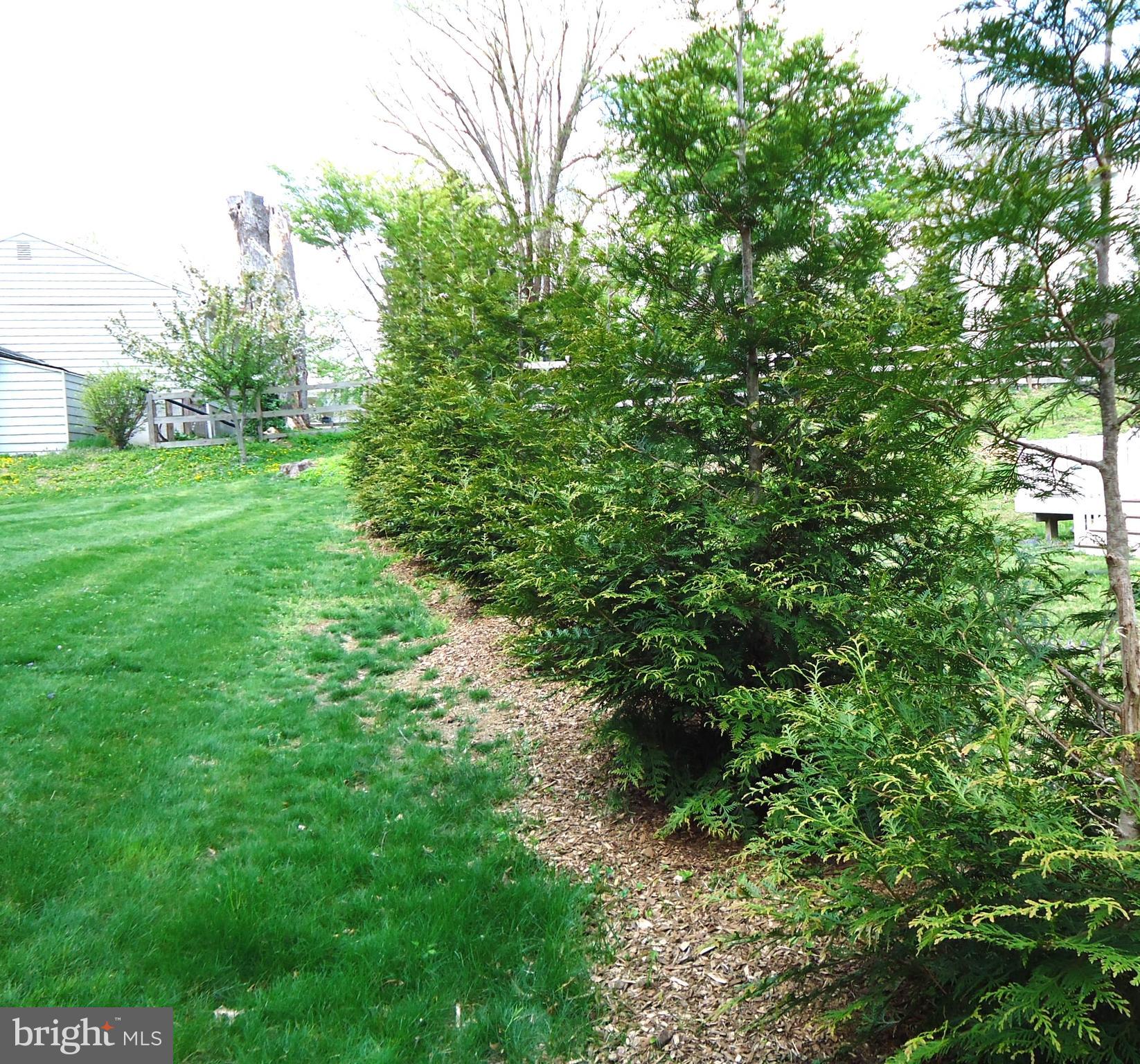 LONGFELLOW - Residential Lease