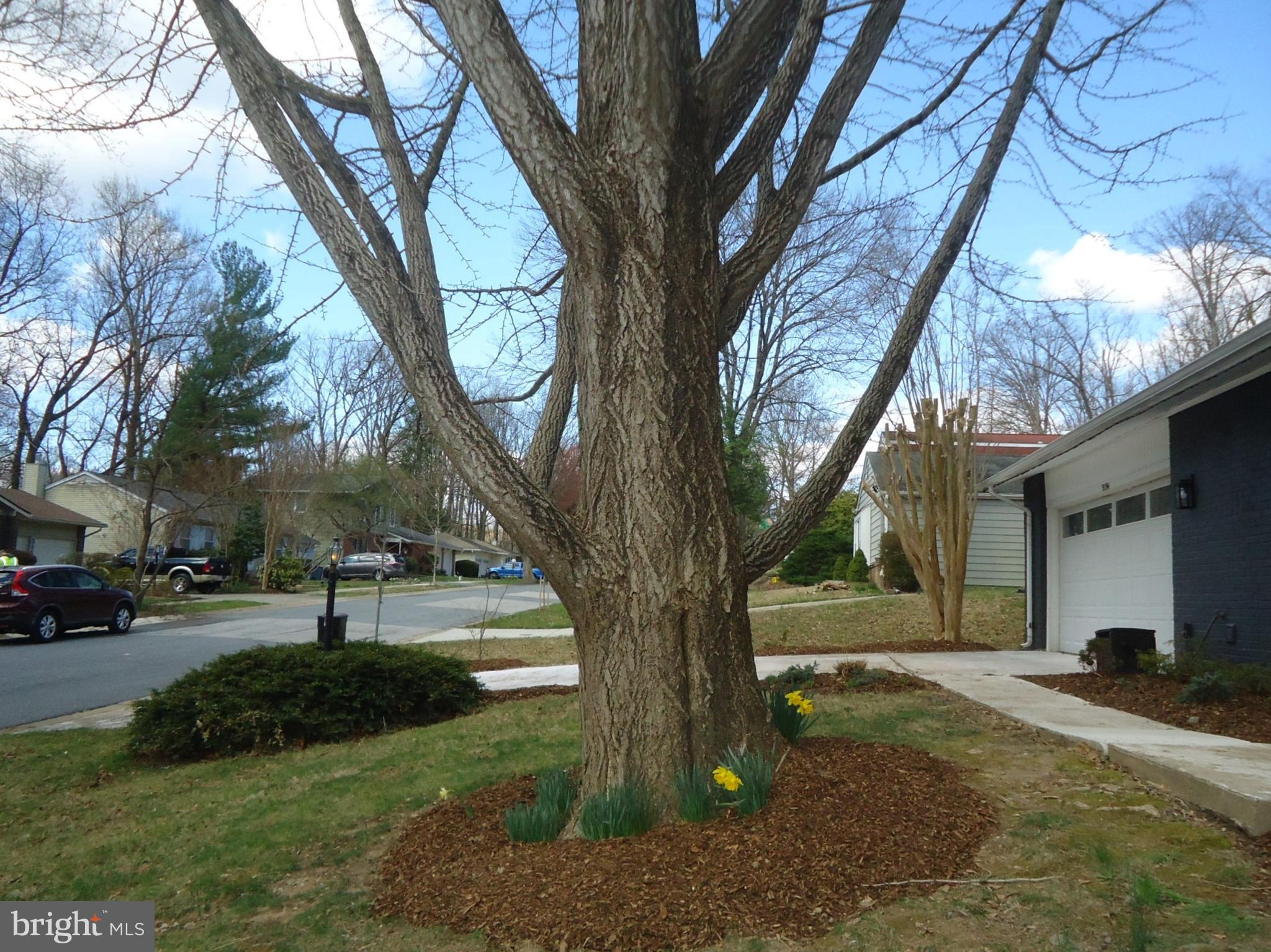 LONGFELLOW - Residential Lease