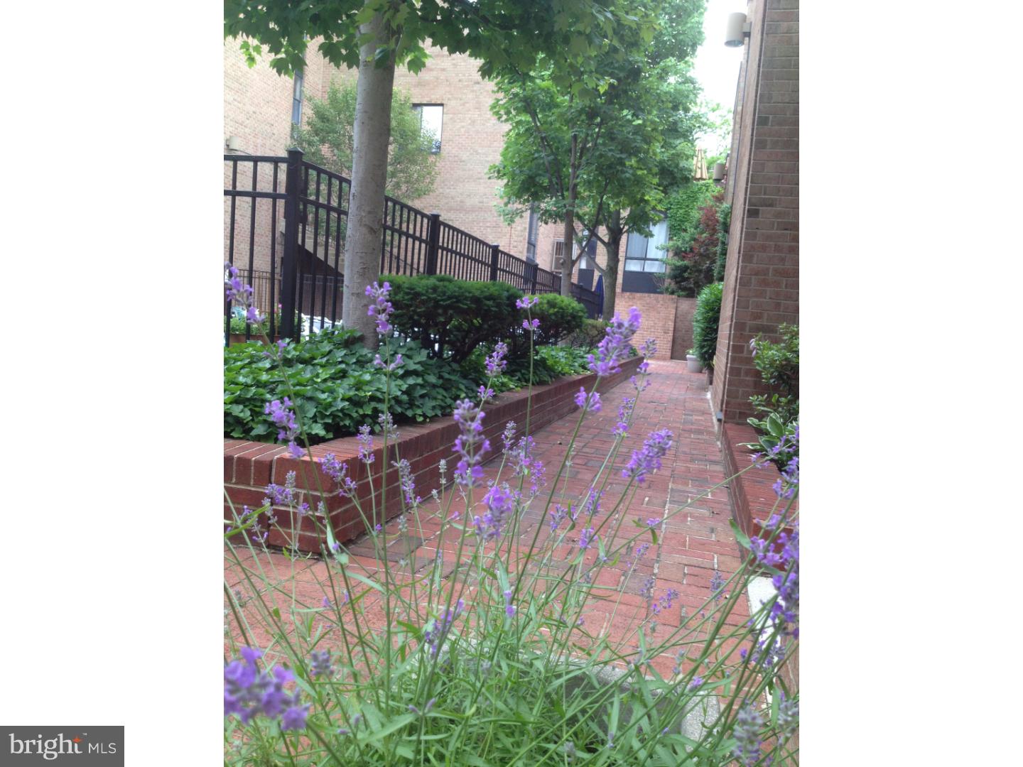 SOCIETY HILL - Residential Lease