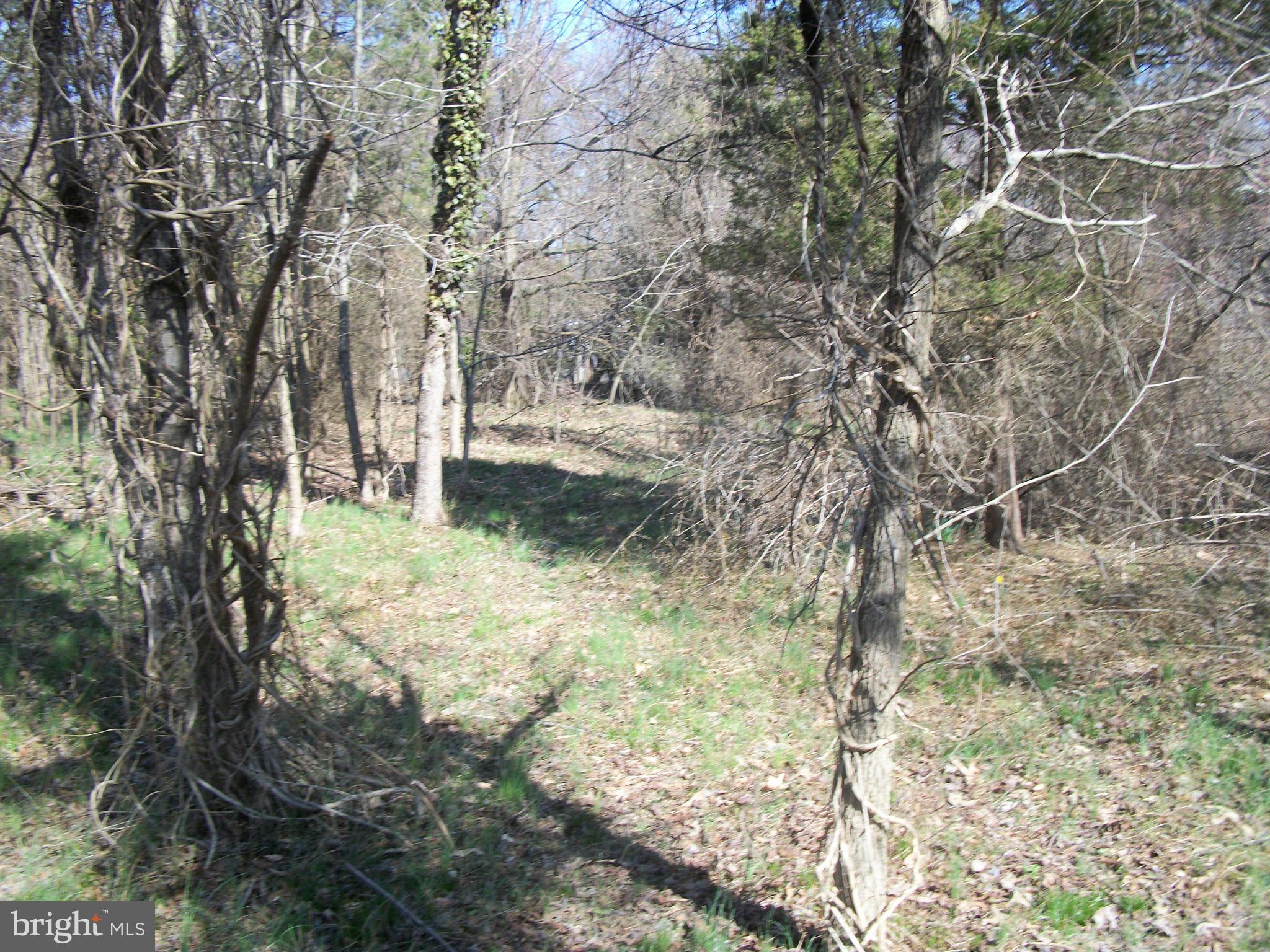 JOSEPH A KING - Land