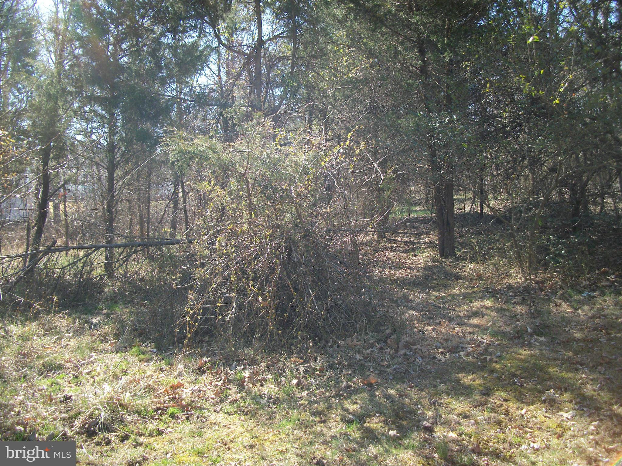 JOSEPH A KING - Land