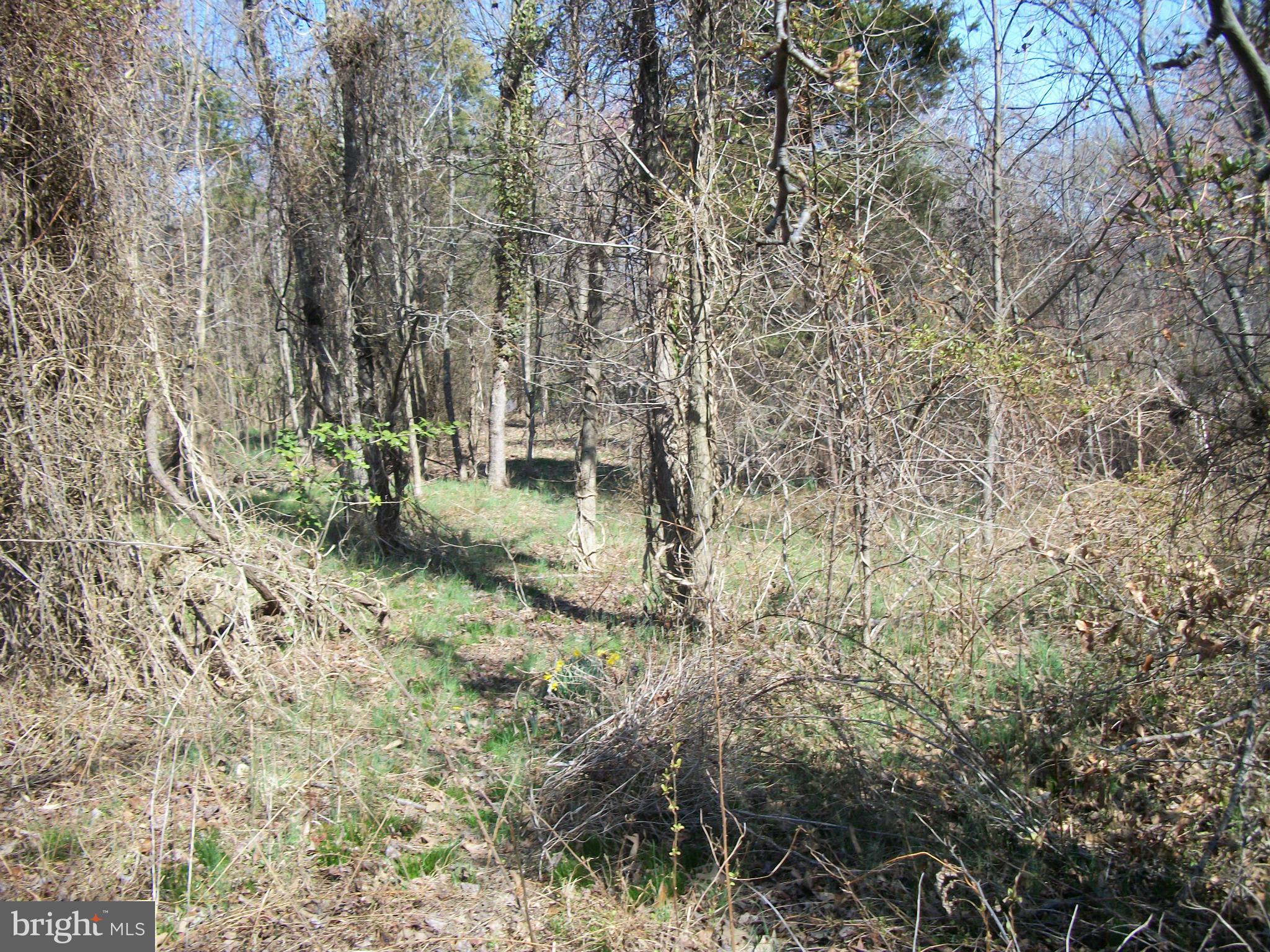 JOSEPH A KING - Land