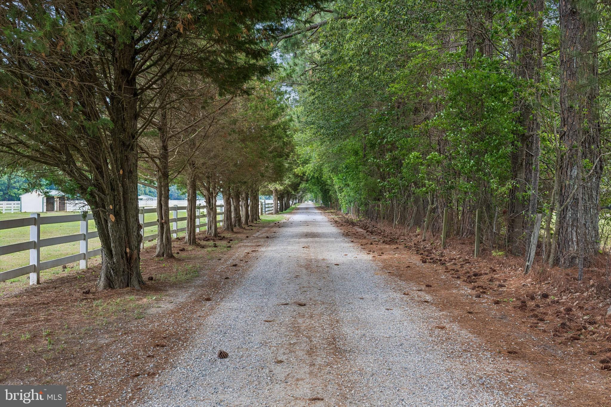 2016 FORGE ROAD