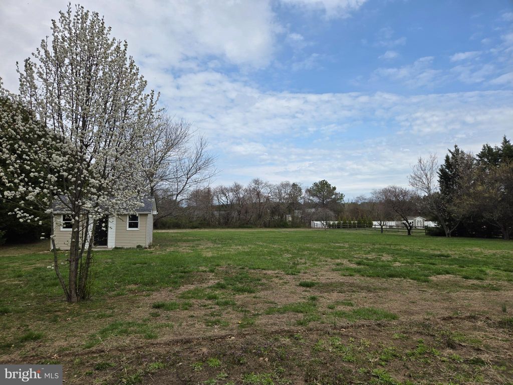 listing image 40