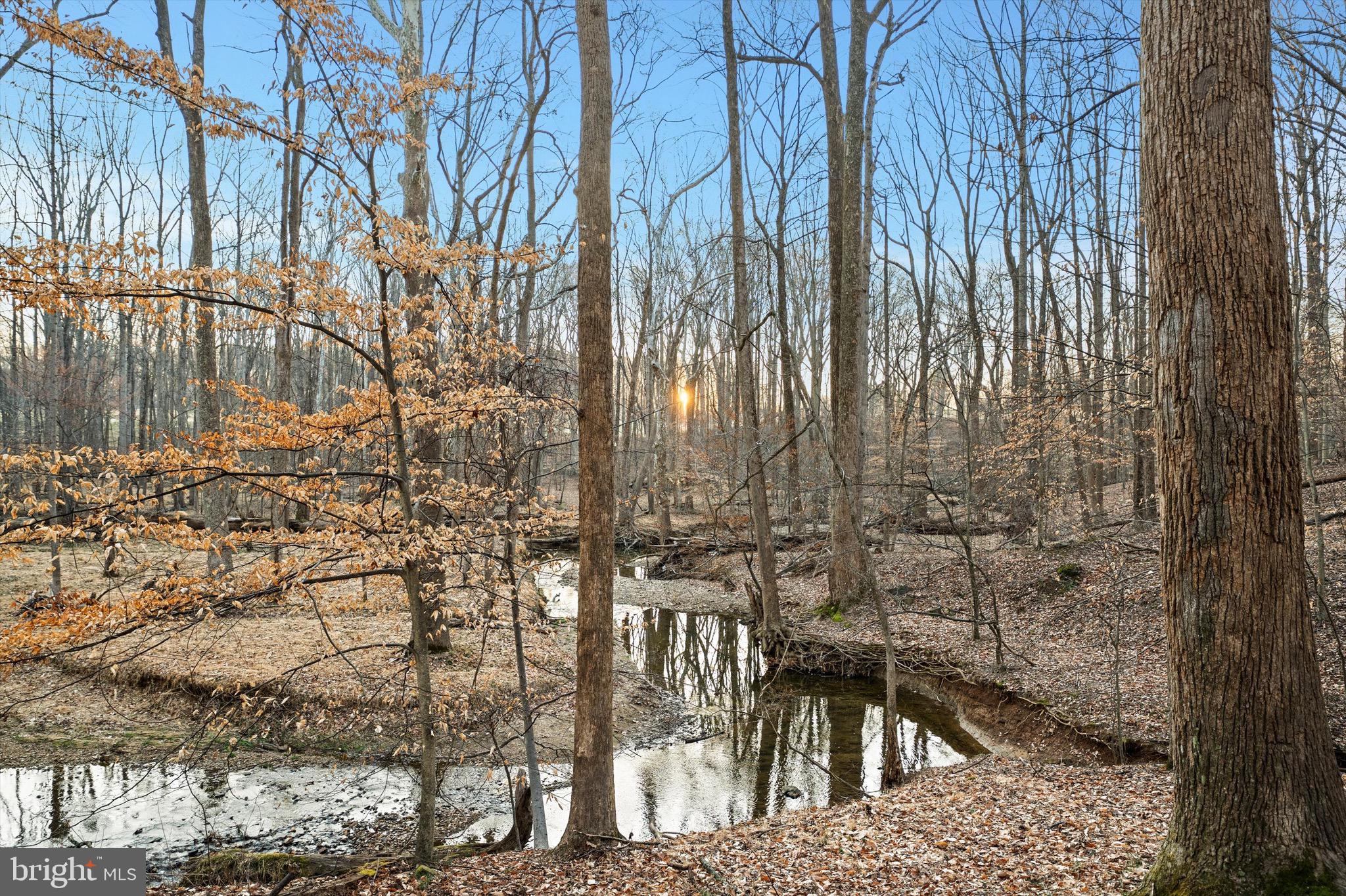 POTOMAC RANCH - Residential