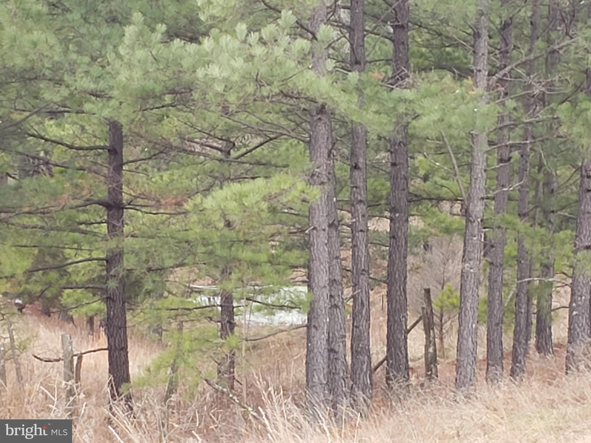 OLDTOWN - Residential