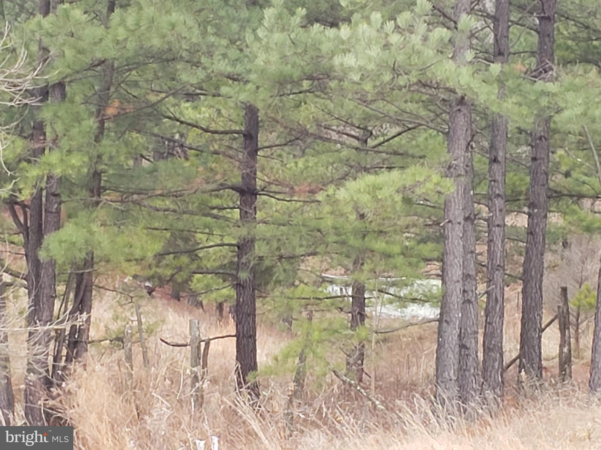 OLDTOWN - Residential