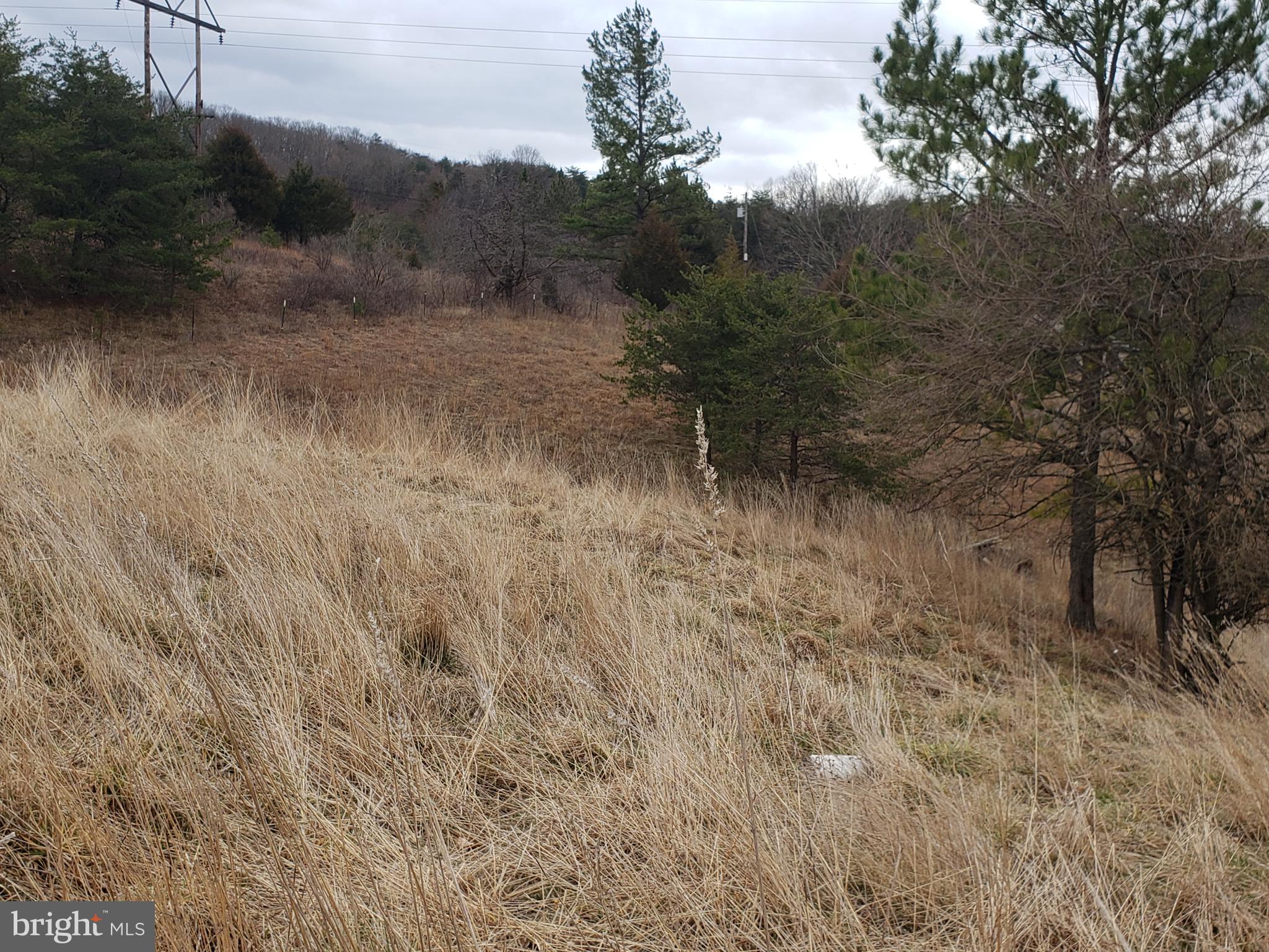 OLDTOWN - Residential