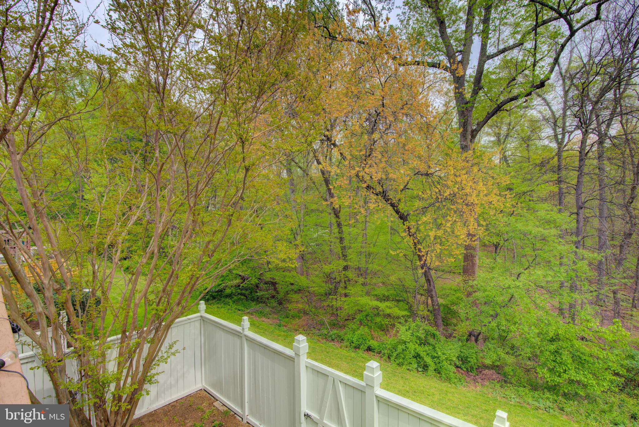 BIRCHFIELD WOODS - Residential