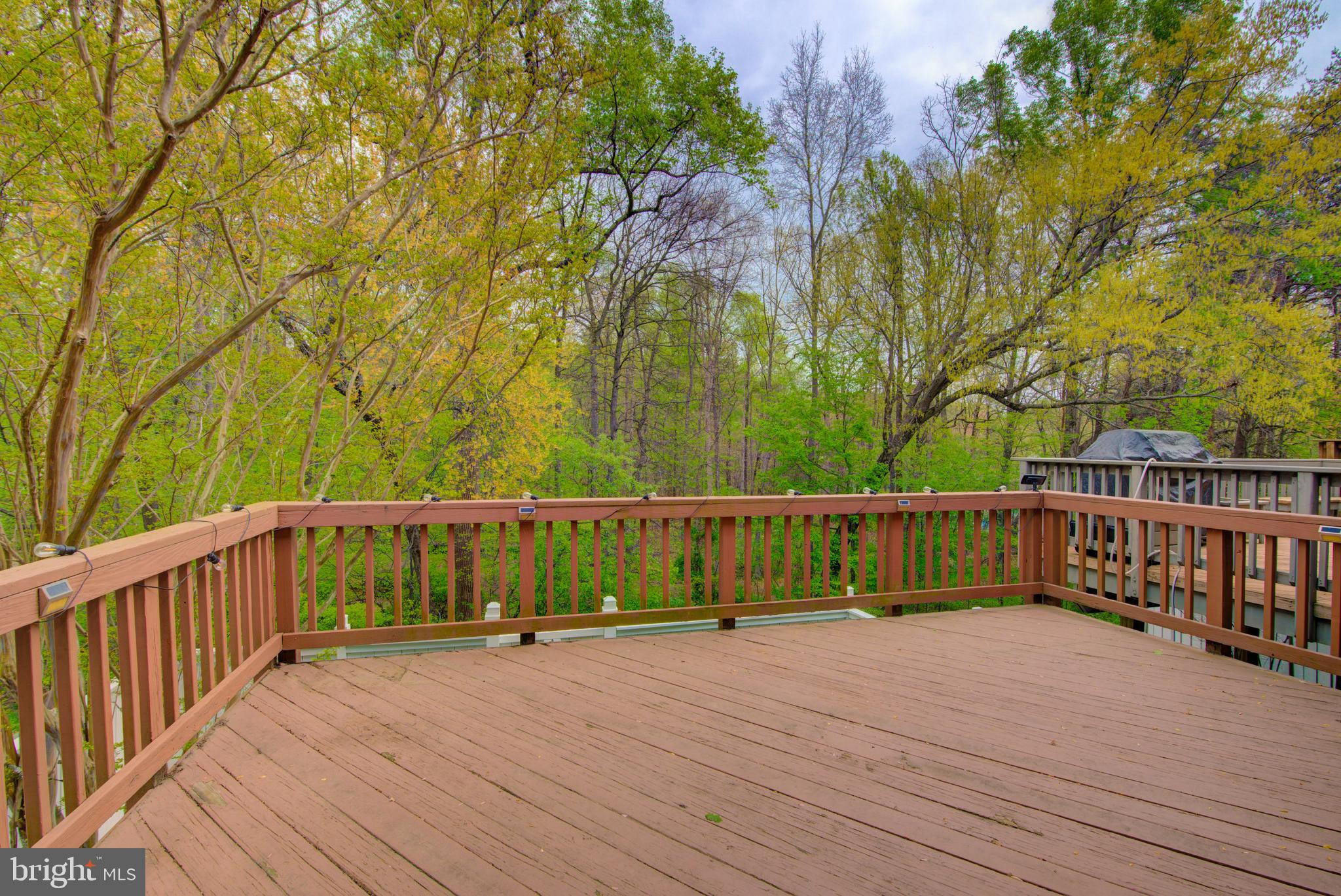 BIRCHFIELD WOODS - Residential