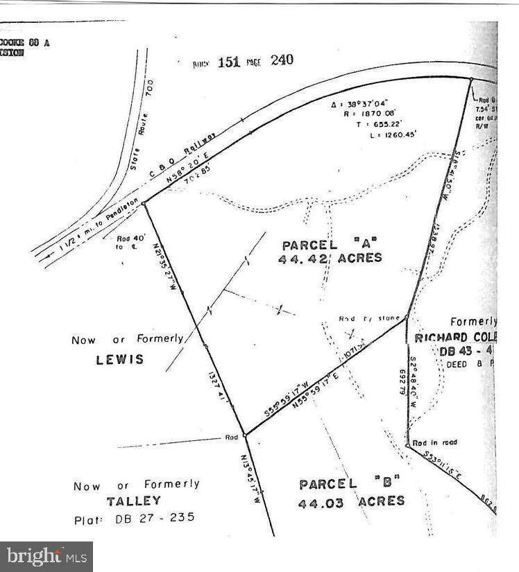 SHELTON LANE