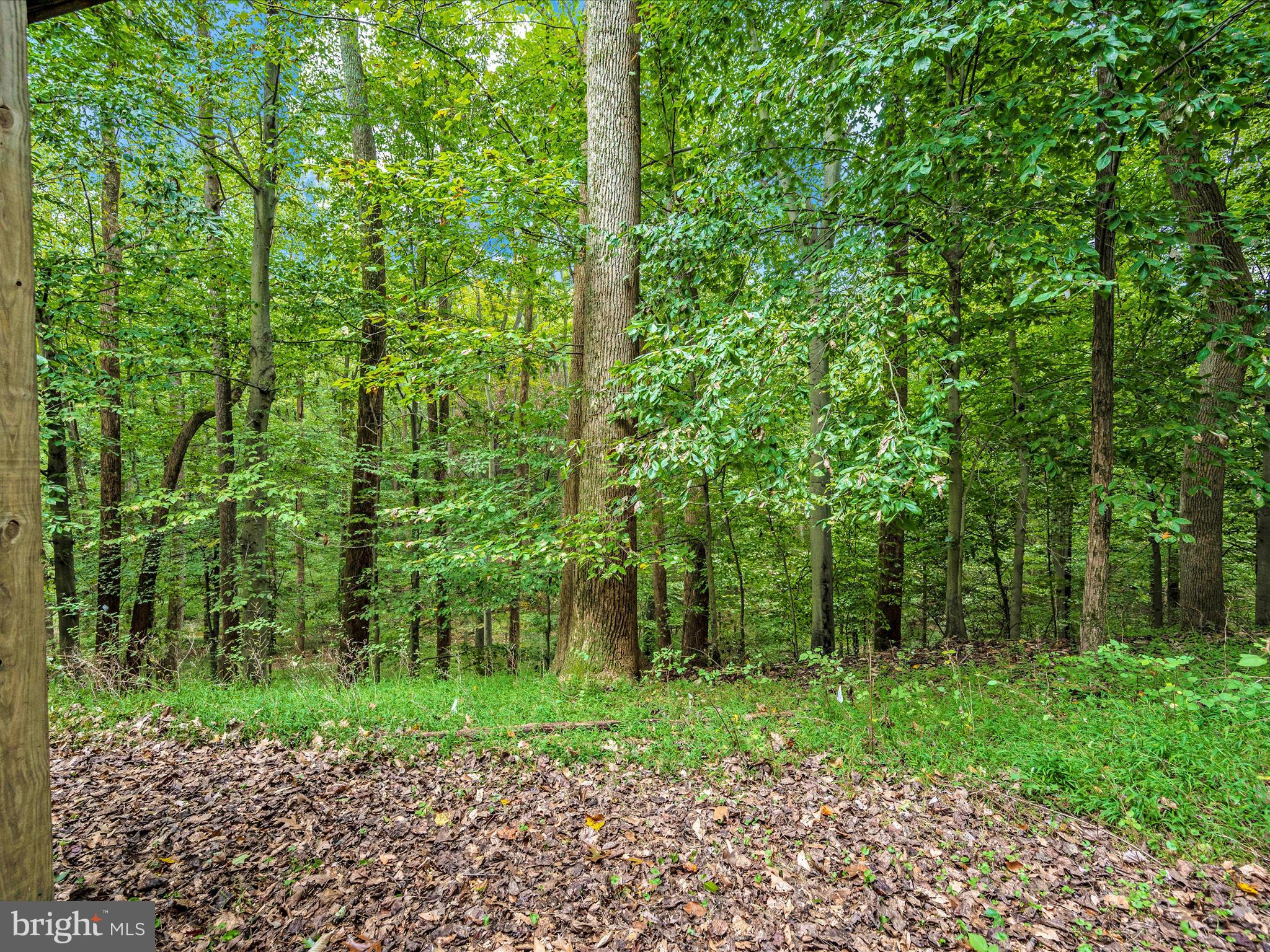 ALLENFORD - Residential