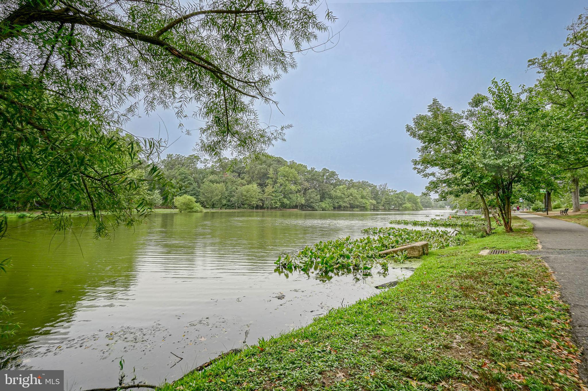 215 E LAKE DRIVE