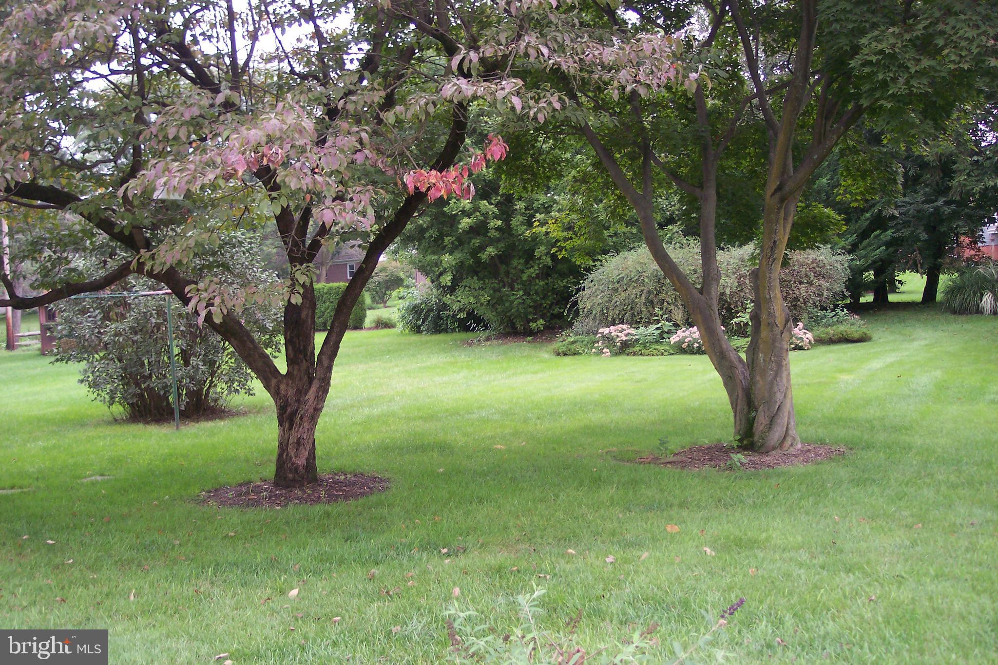 PALMYRA BOROUGH - Residential