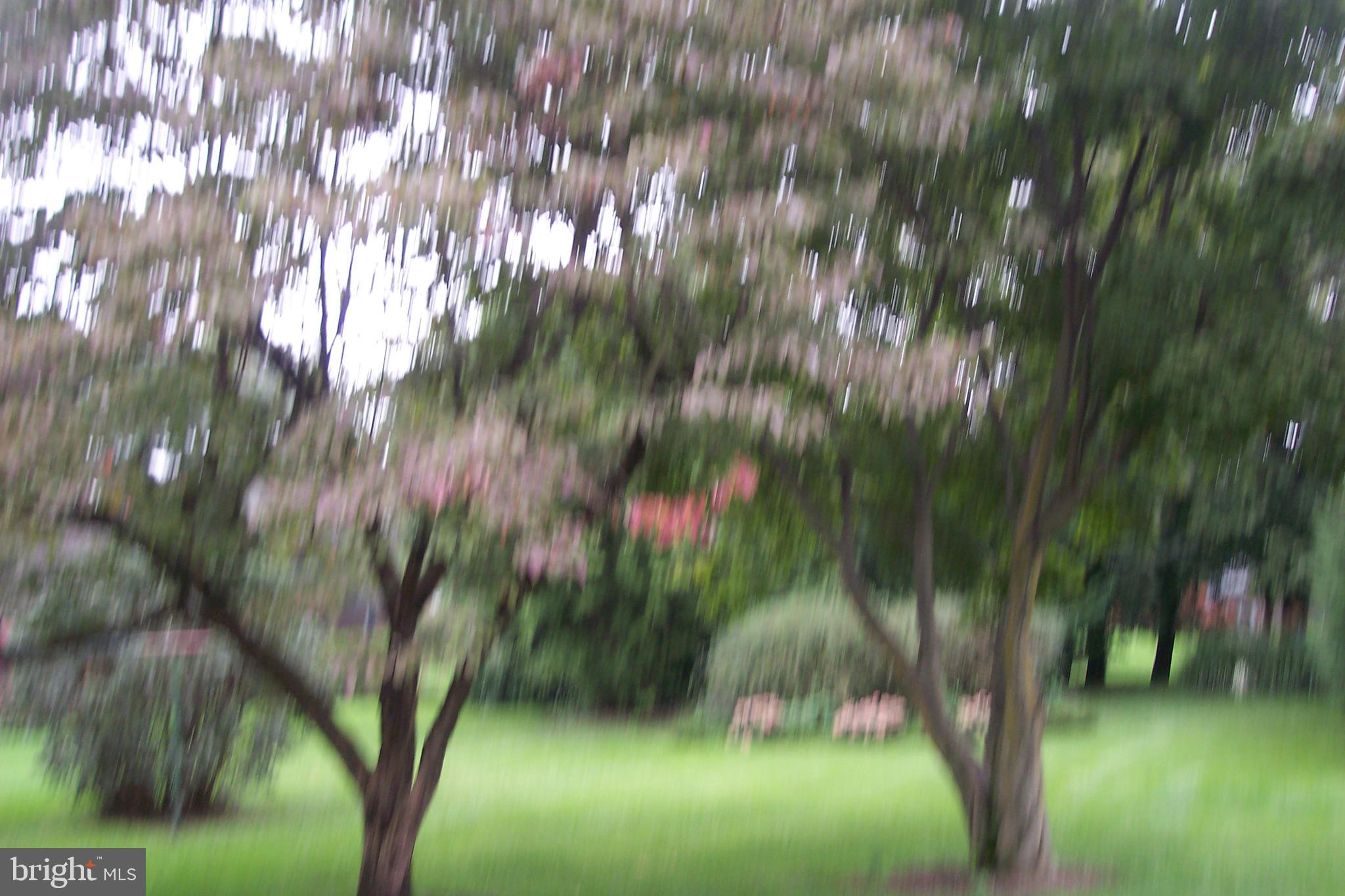 PALMYRA BOROUGH - Residential