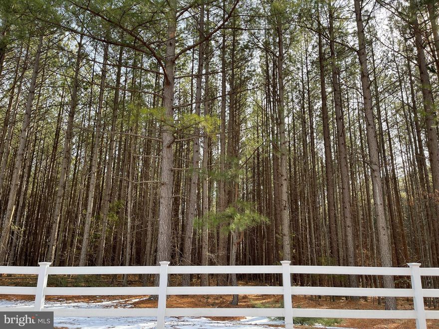 Own this 5.42 acres lot to build your custom home in SPINNER ESTATES off RT 722 fronted on Tanglewood Rd. Zoned Agriculture A-2,  wooded lot.  Conveniently located near  to Rte. 1 and I-95