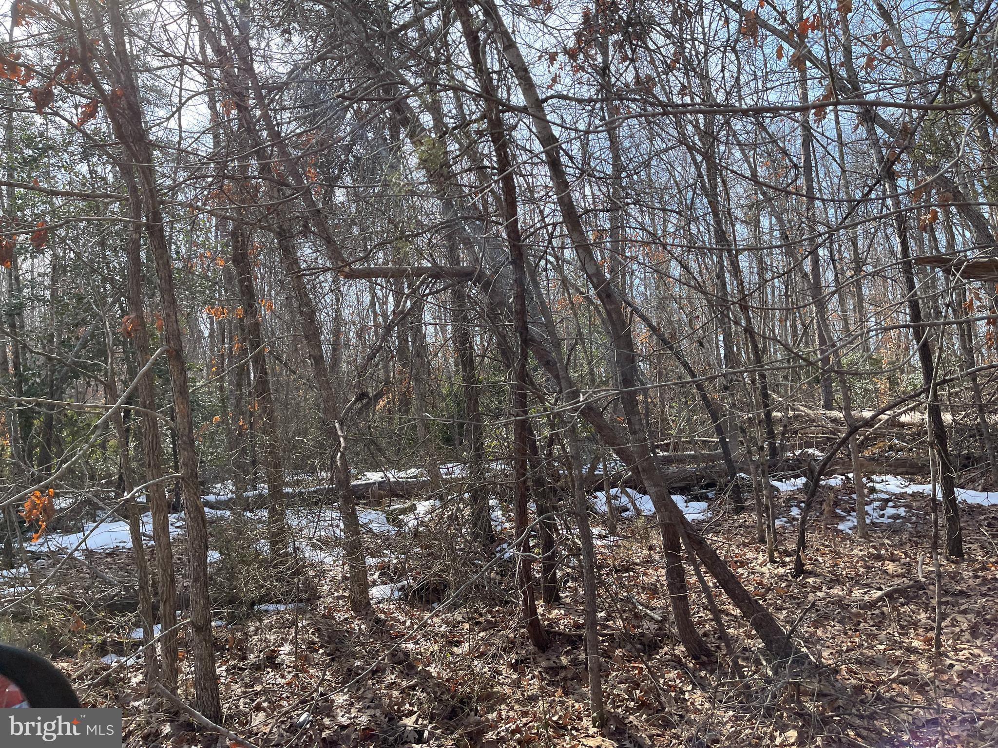 SPINNER ESTATE - Land