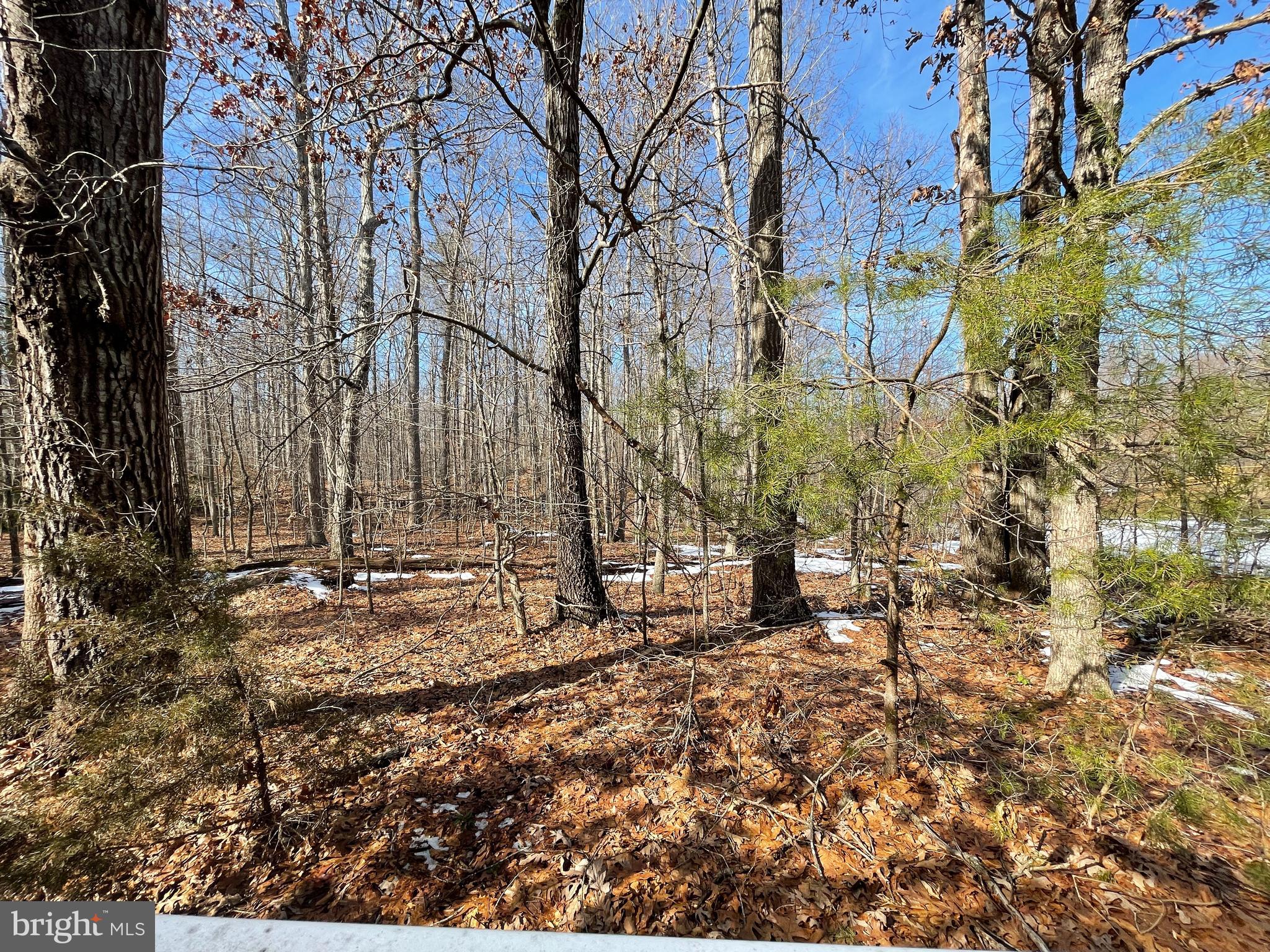 SPINNER ESTATE - Land