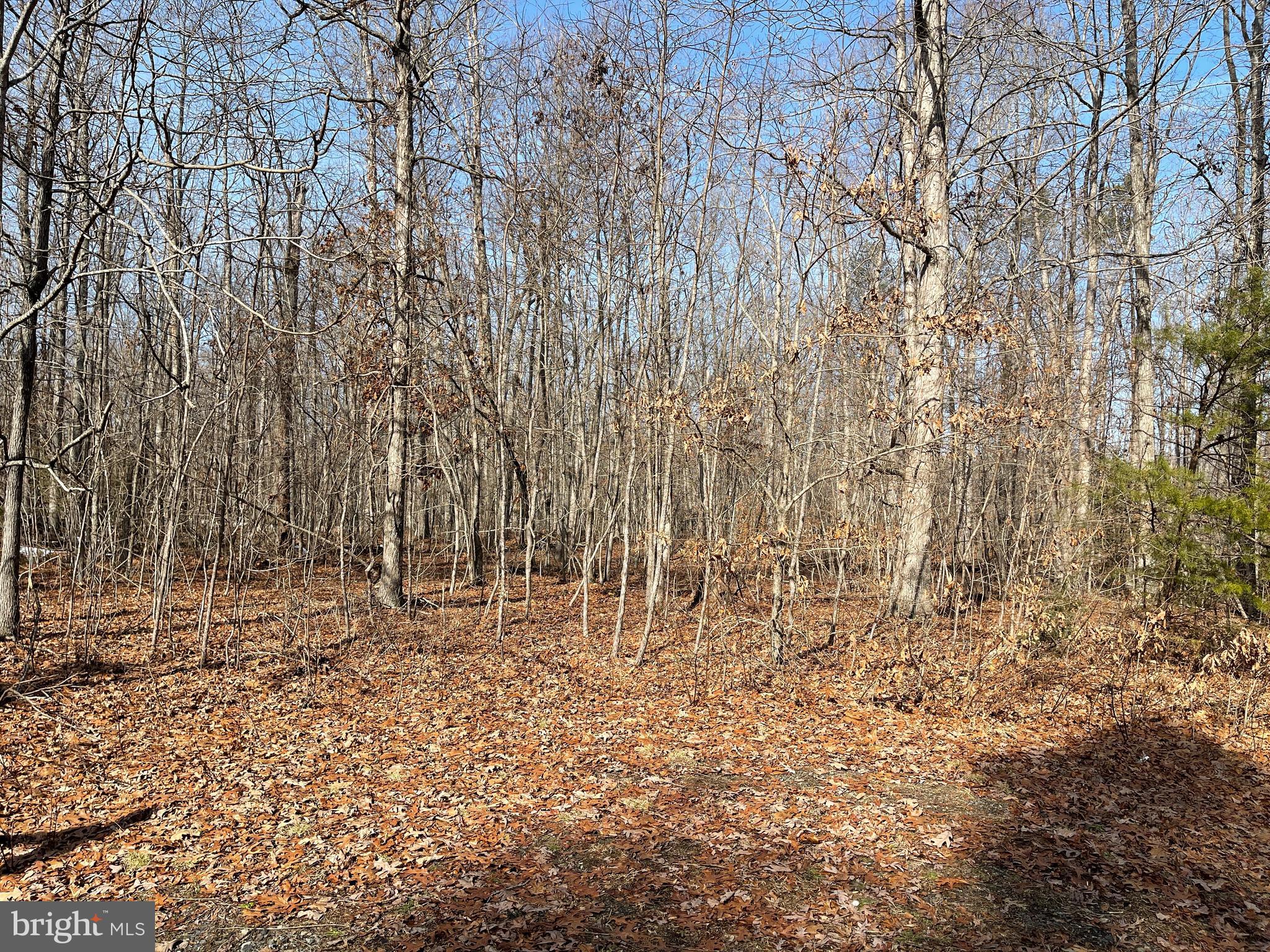 SPINNER ESTATE - Land