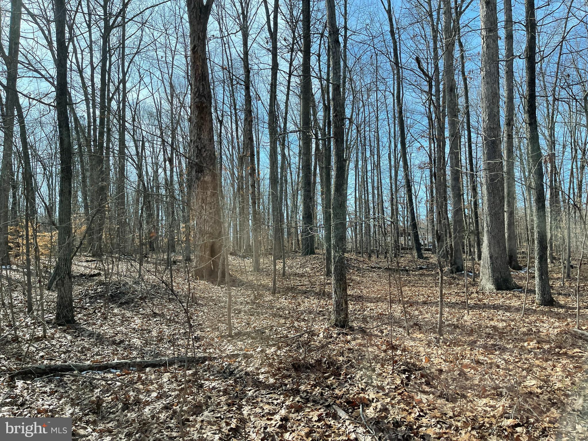 SPINNER ESTATE - Land