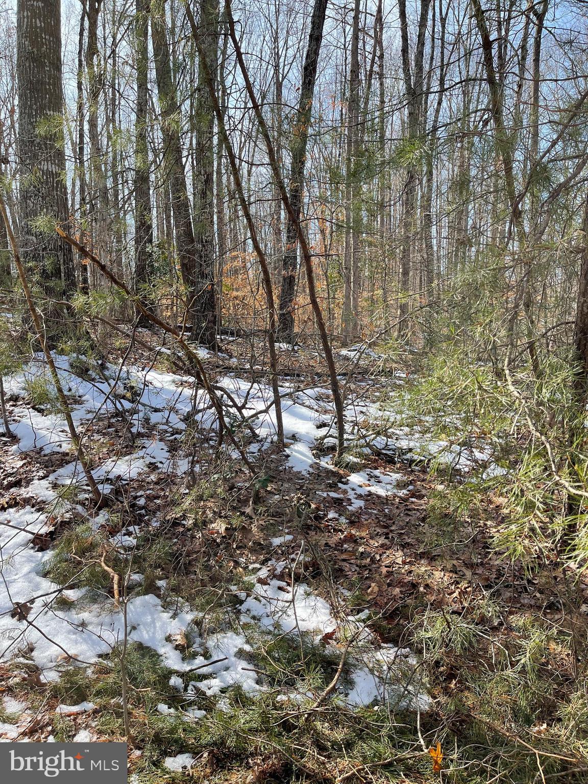 SPINNER ESTATE - Land