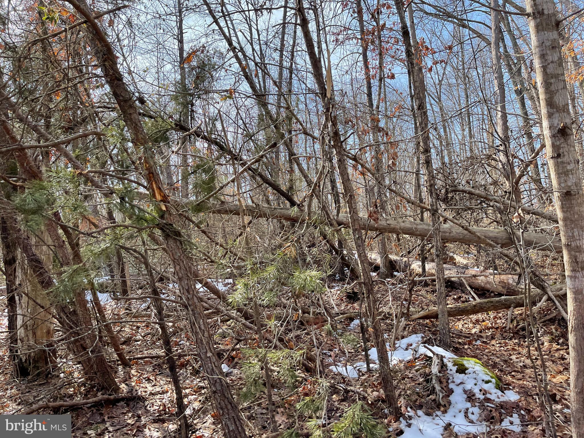 SPINNER ESTATE - Land