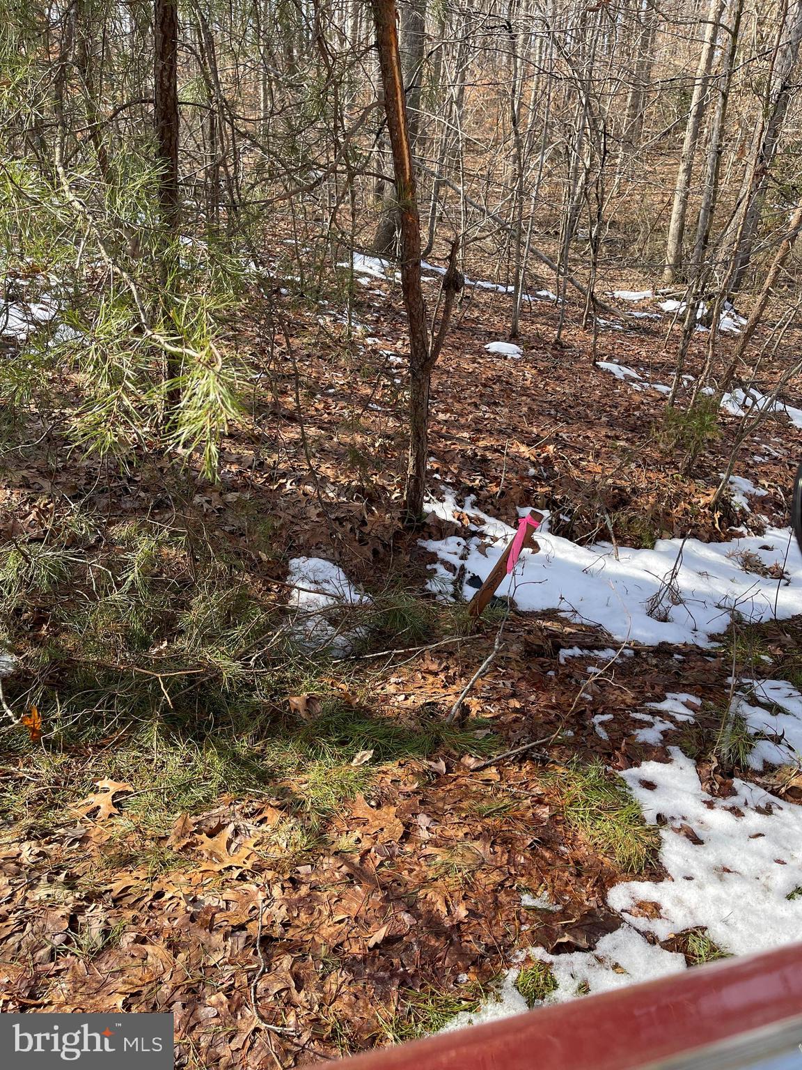 SPINNER ESTATE - Land