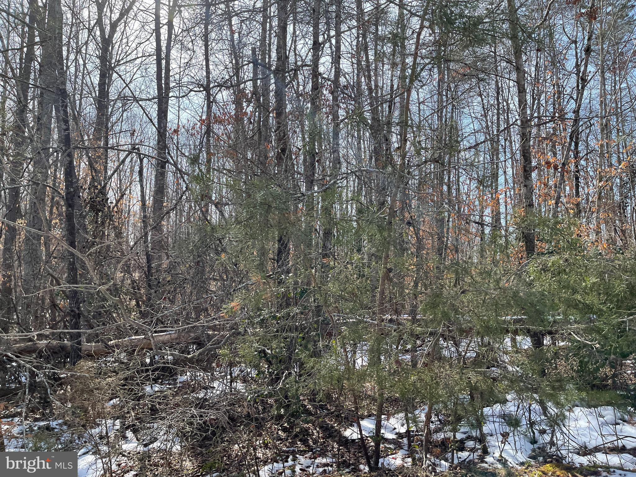 SPINNER ESTATE - Land