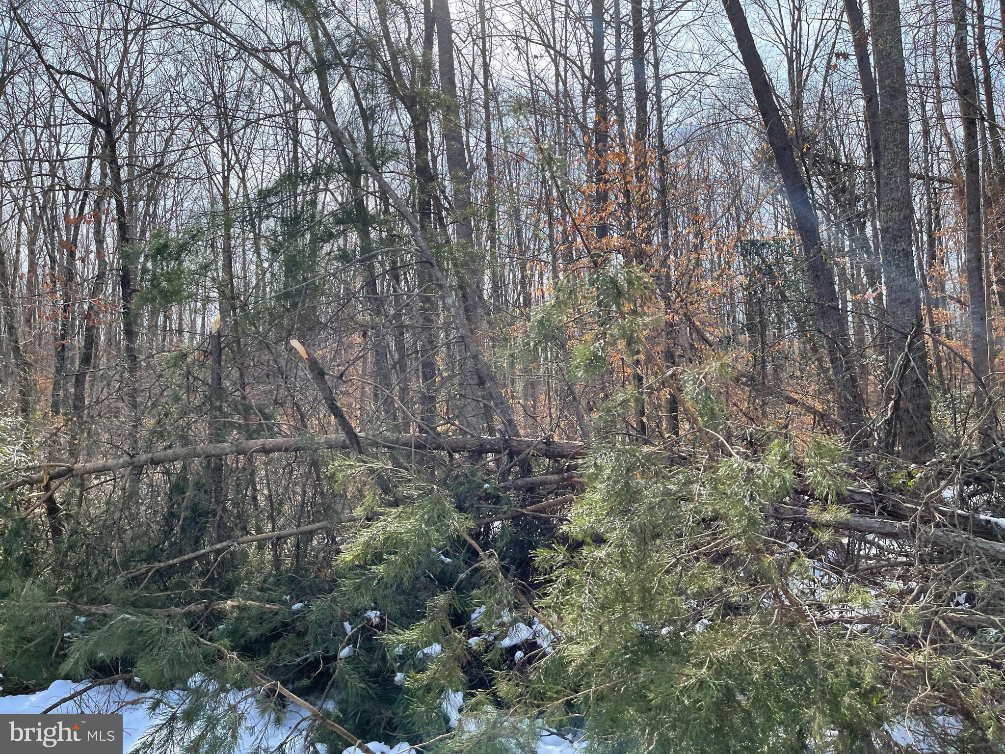 SPINNER ESTATE - Land