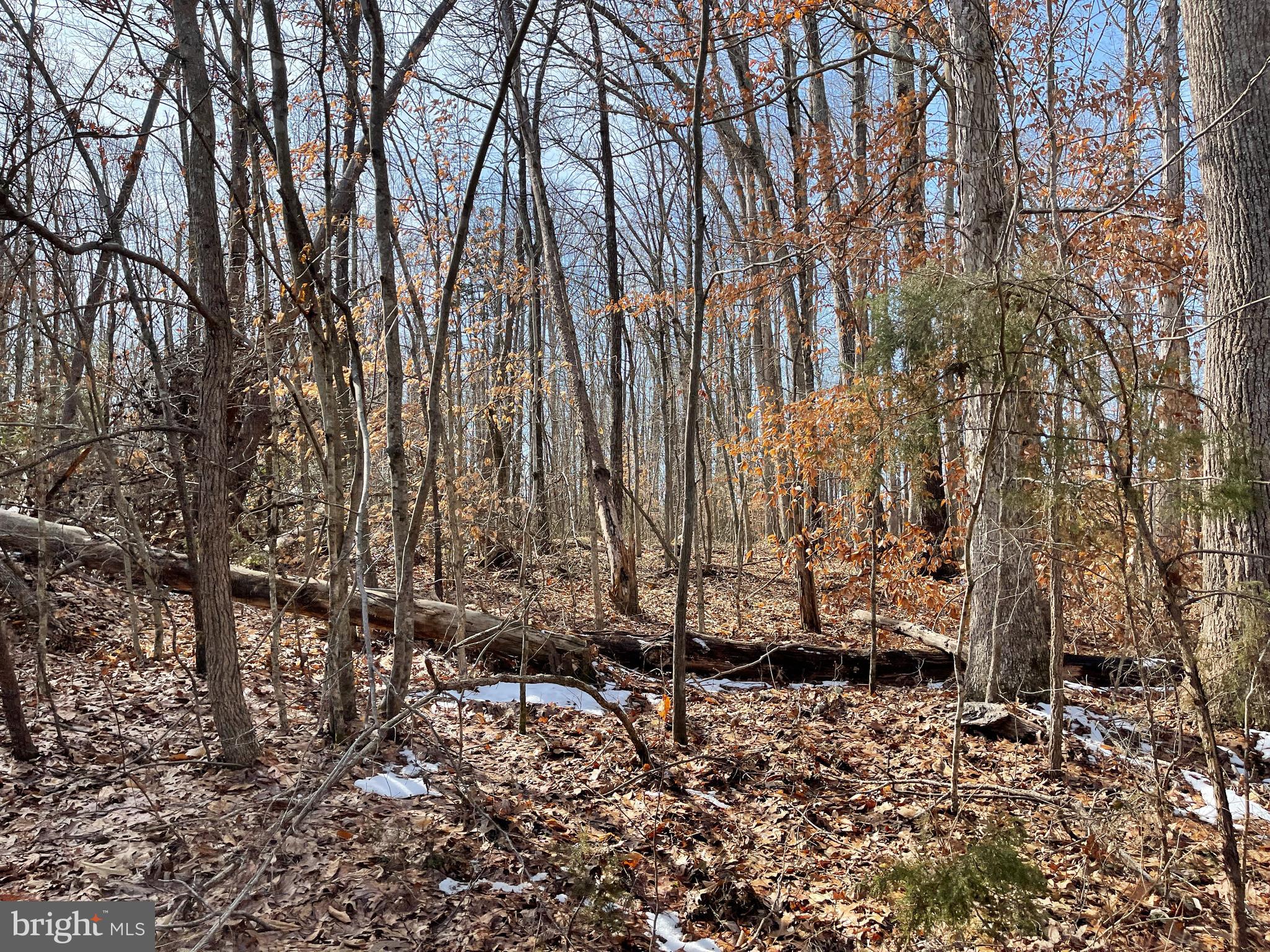 SPINNER ESTATE - Land