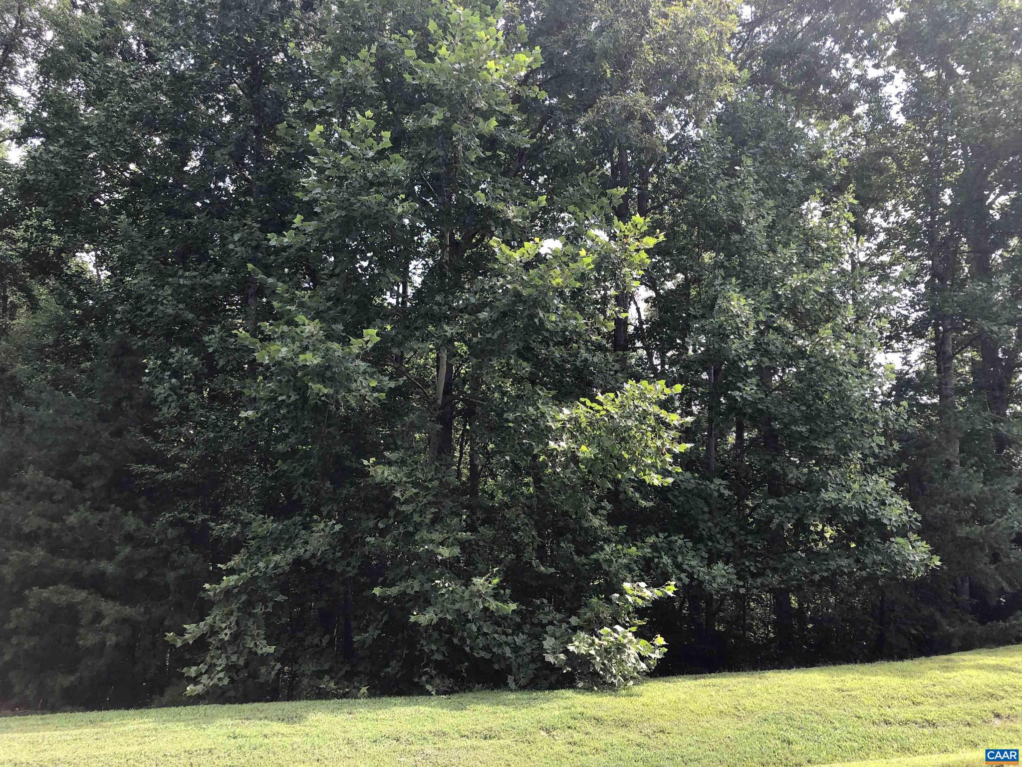 FOXWOOD FOREST - Land