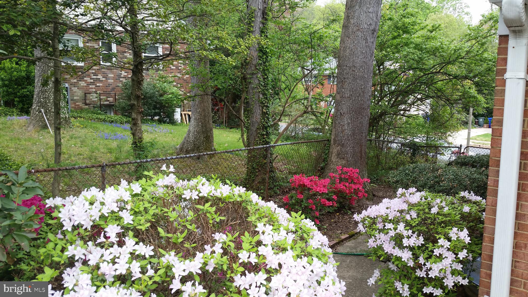 SPY HILL - Residential