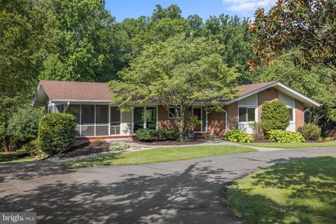 listing image 55