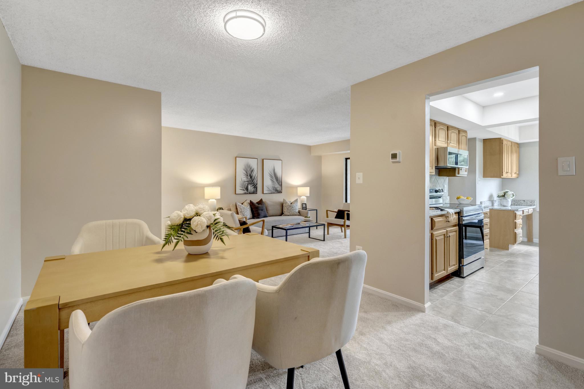 VISTAS OF VIENNA CONDOMINIUMS - Residential