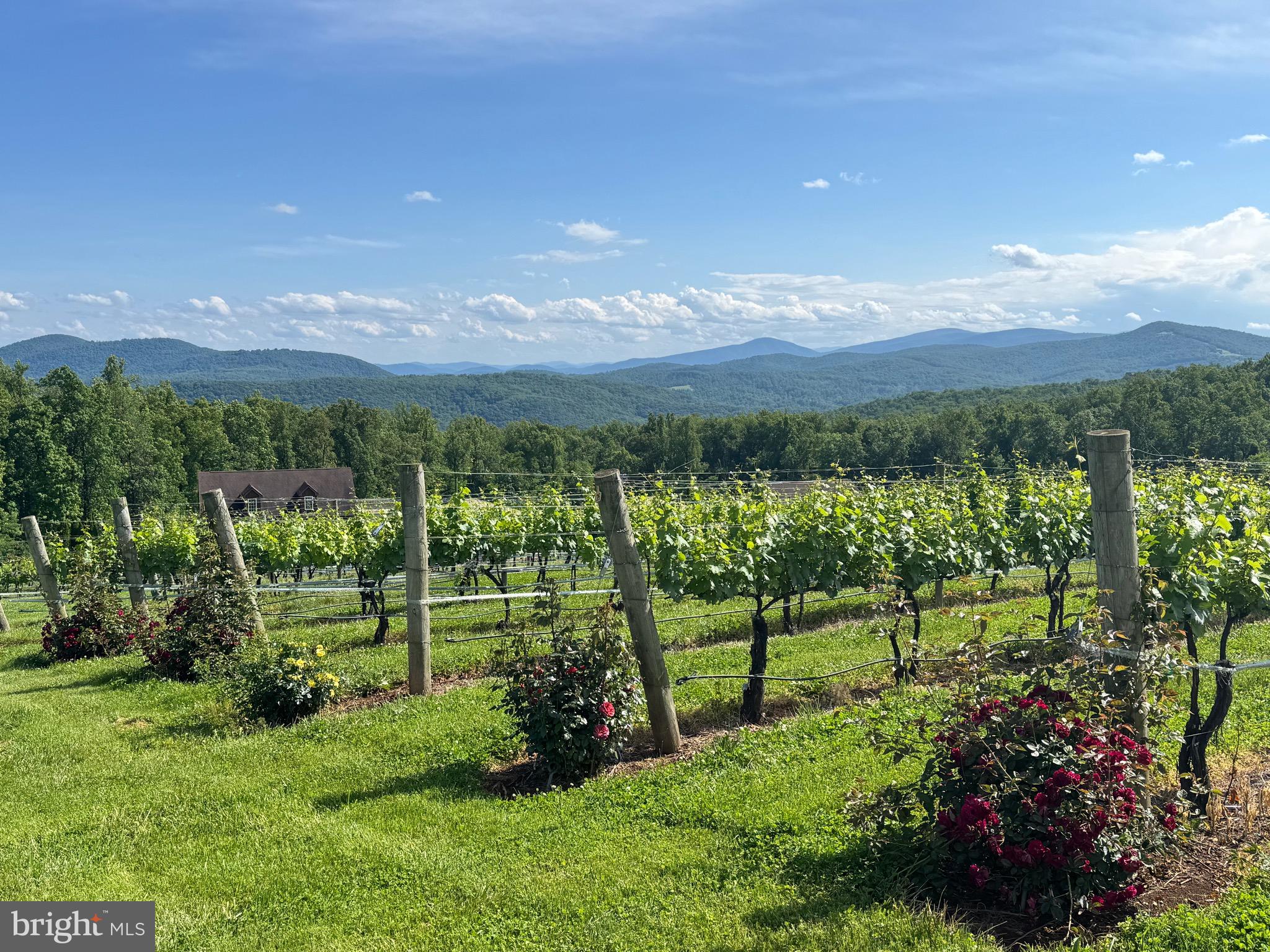 SHENANDOAH FARMS - Residential