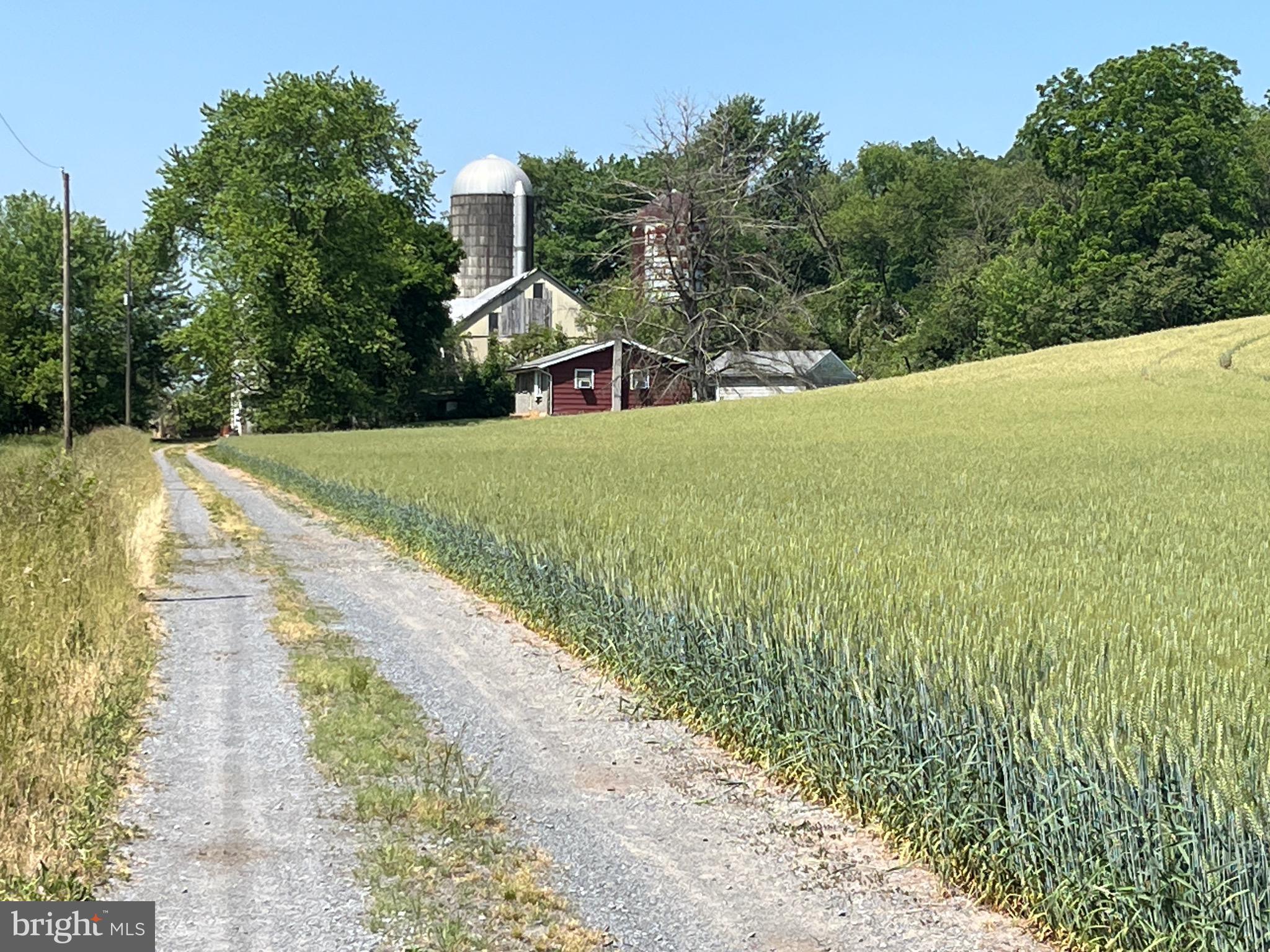 NONE AVAILABLE - Farm