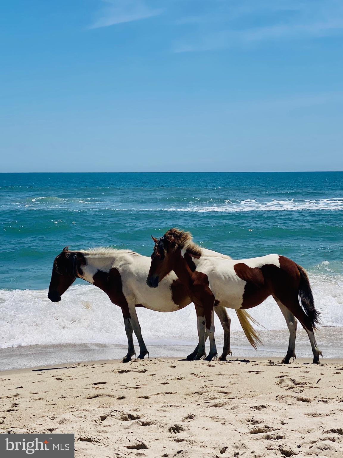 OCEAN PINES - NEWPORT - Residential