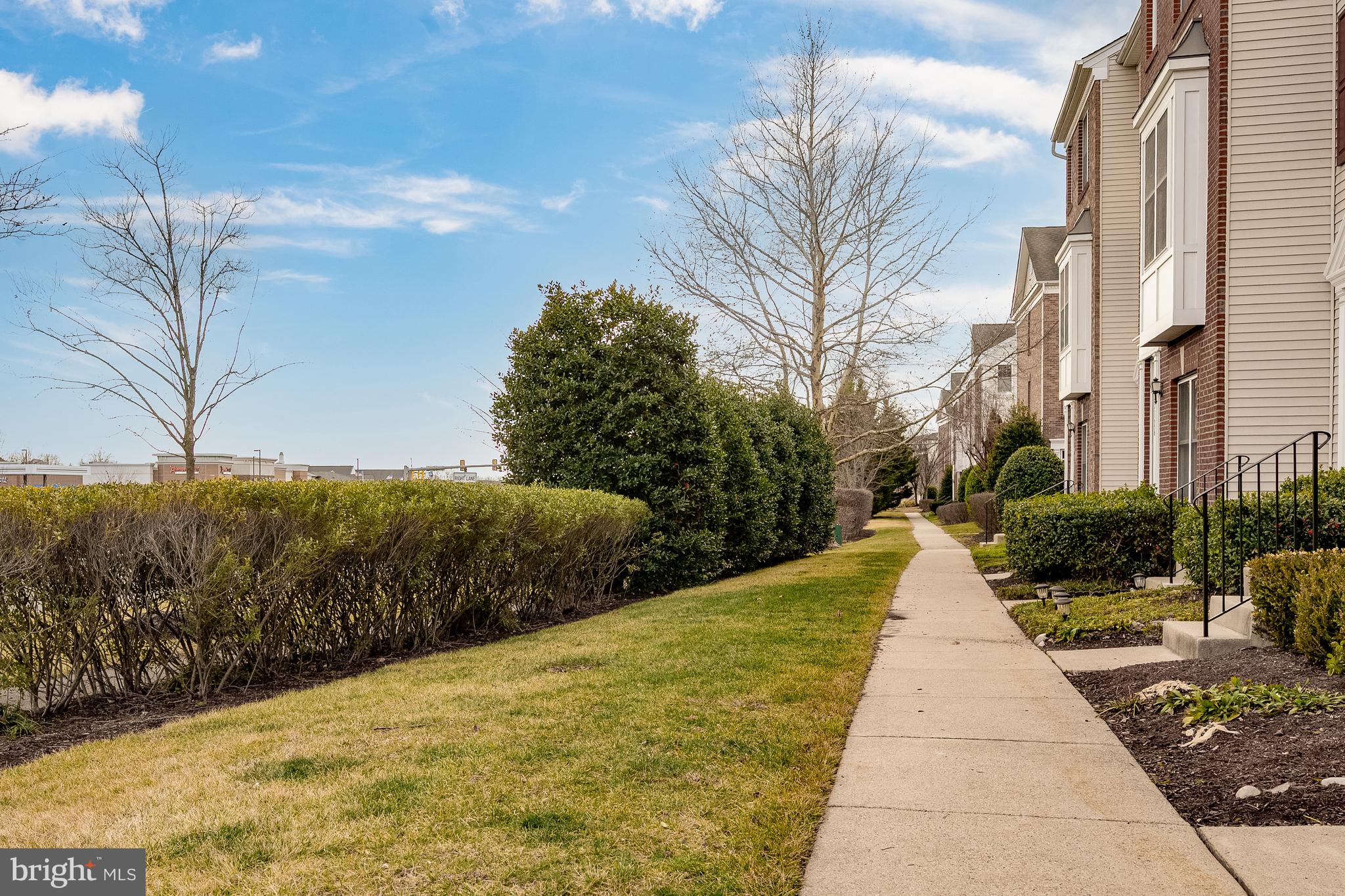 AMBERLEA AT SOUTH RIDING - Residential