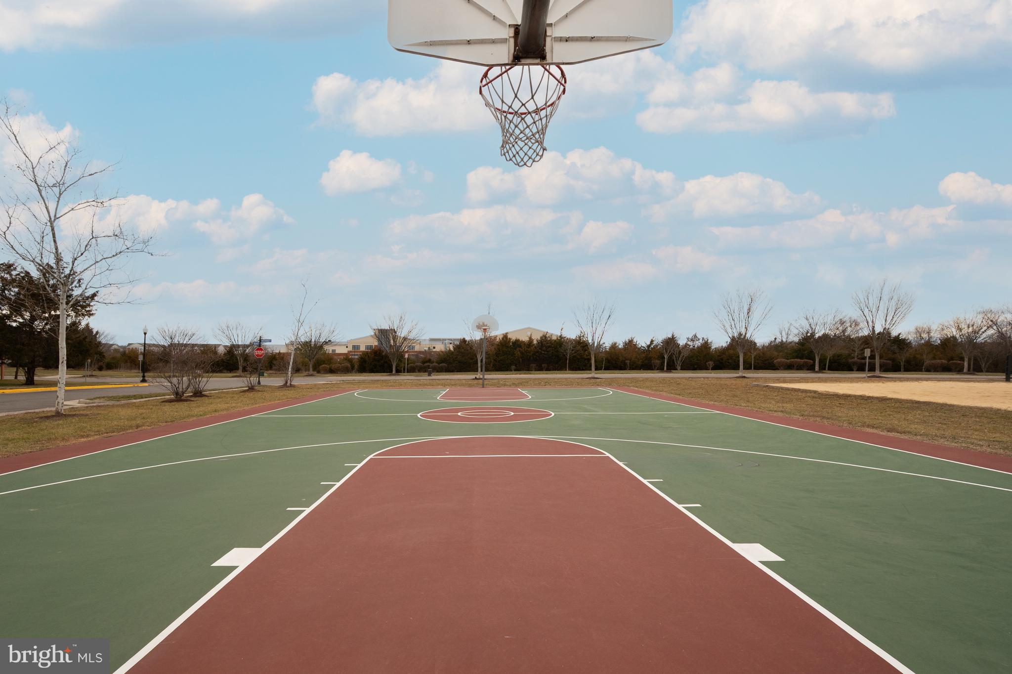 AMBERLEA AT SOUTH RIDING - Residential