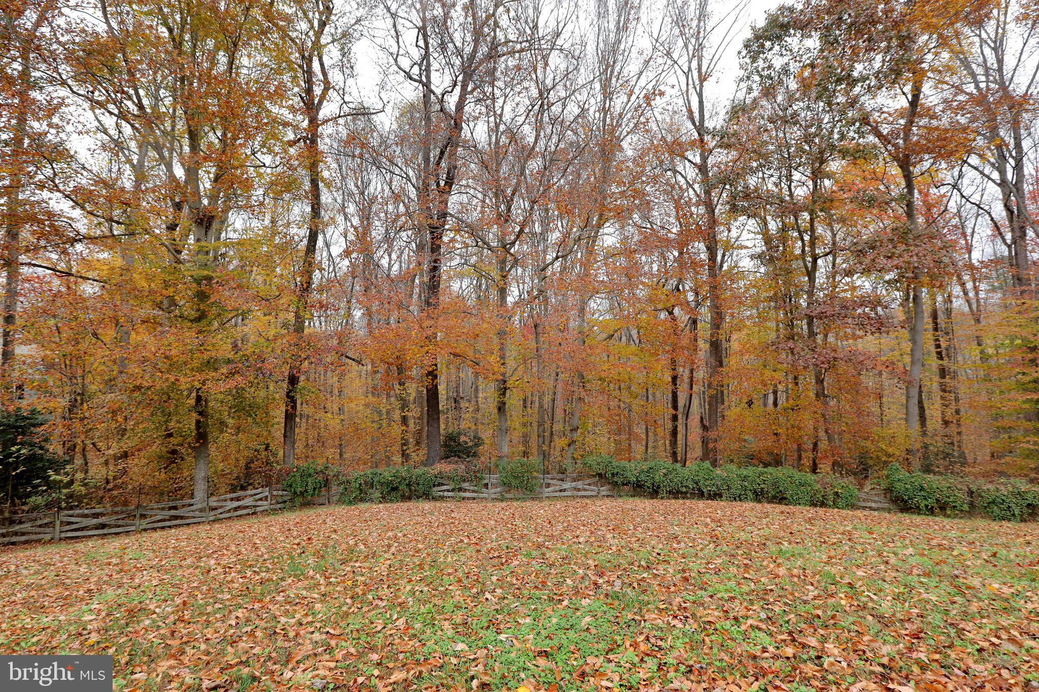 BRIDGELEIGH FARMS - Residential
