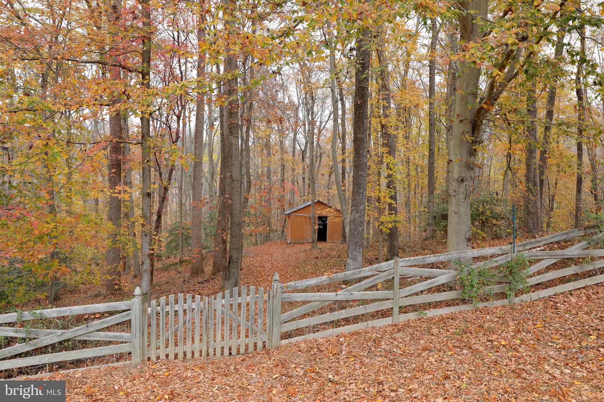 BRIDGELEIGH FARMS - Residential