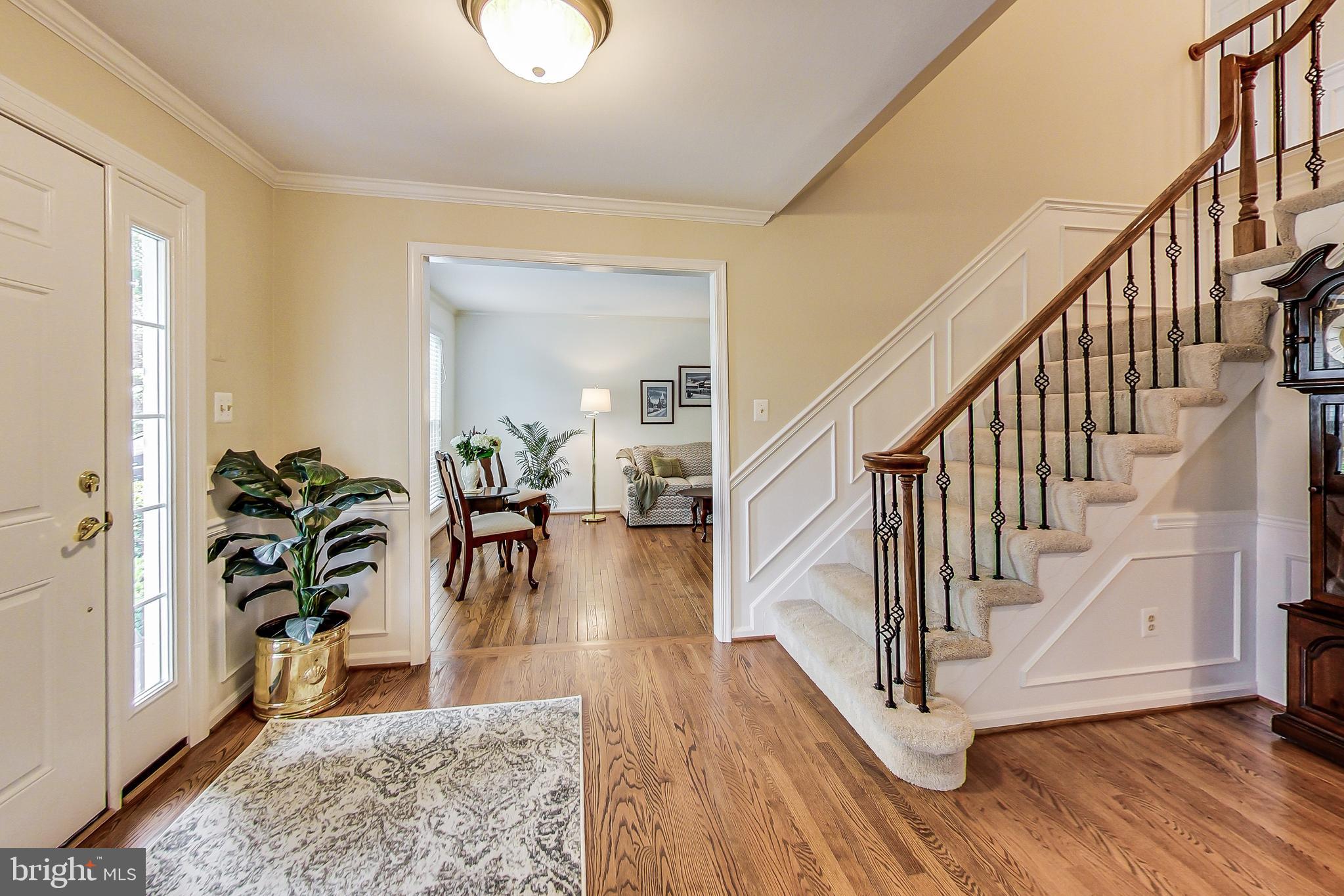 LITTLE ROCKY RUN - Residential