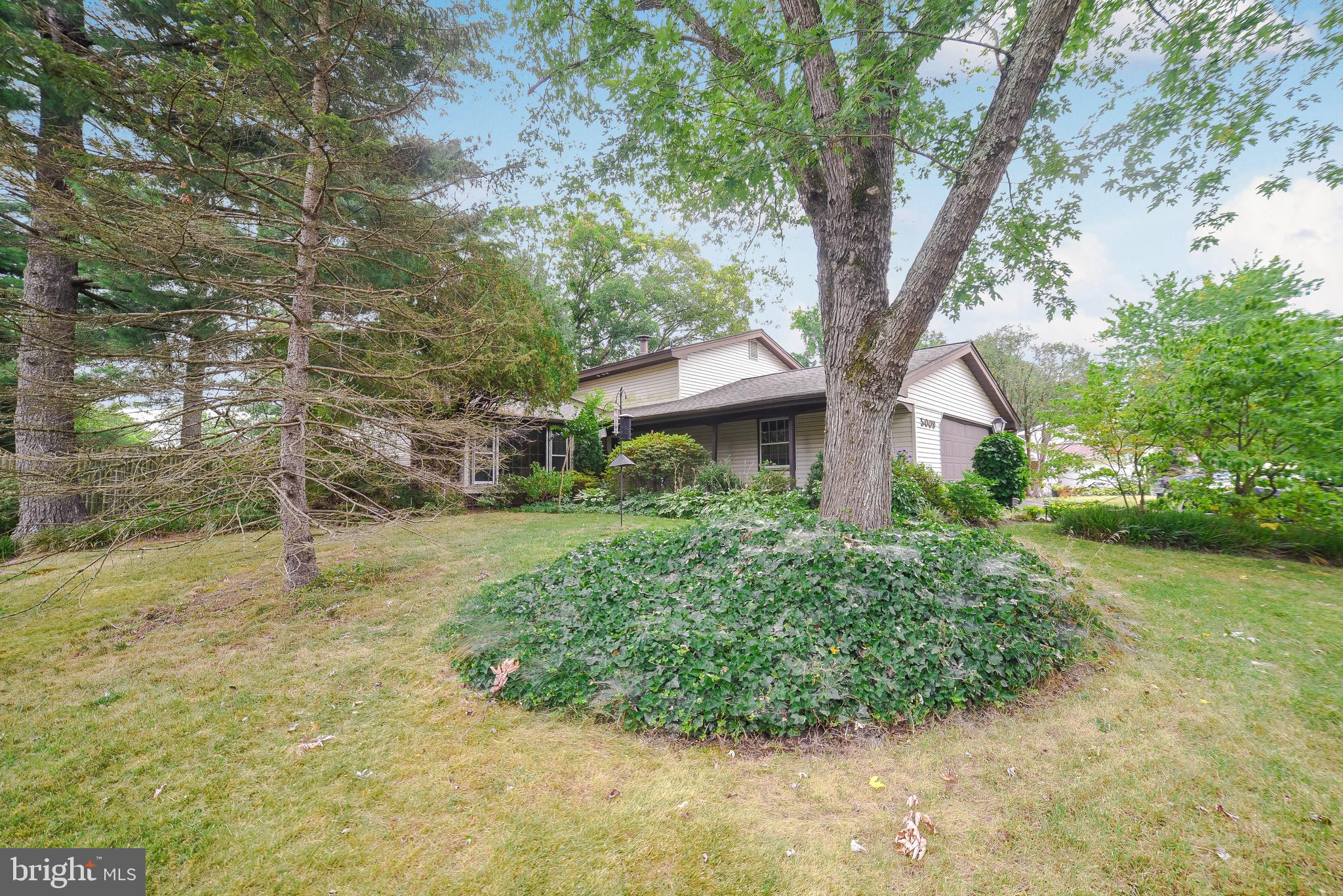 PINEFIELD - Residential