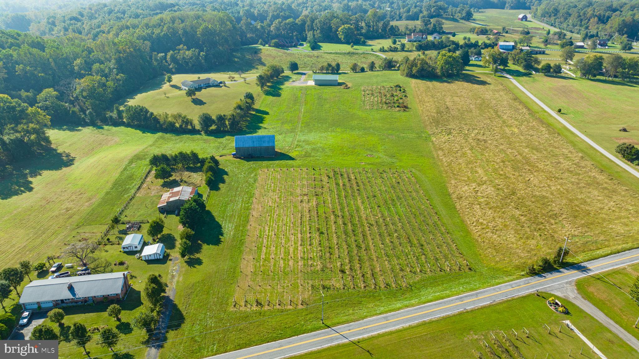 NONE AVAILABLE - Farm